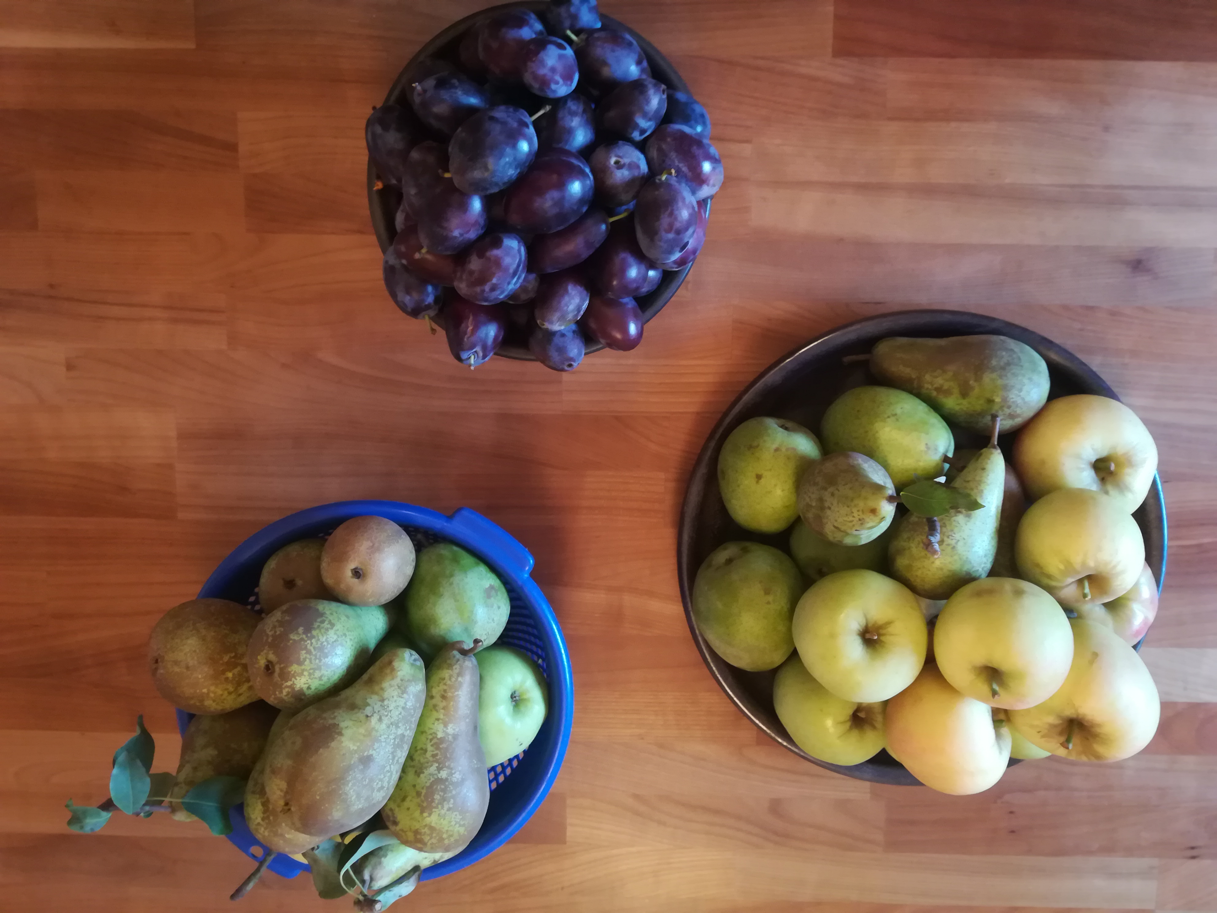 Äpfel, Birnen und Zwetschgen